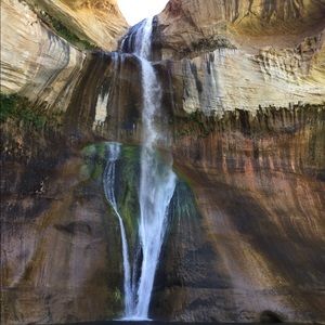 Meet your Posher, Renee